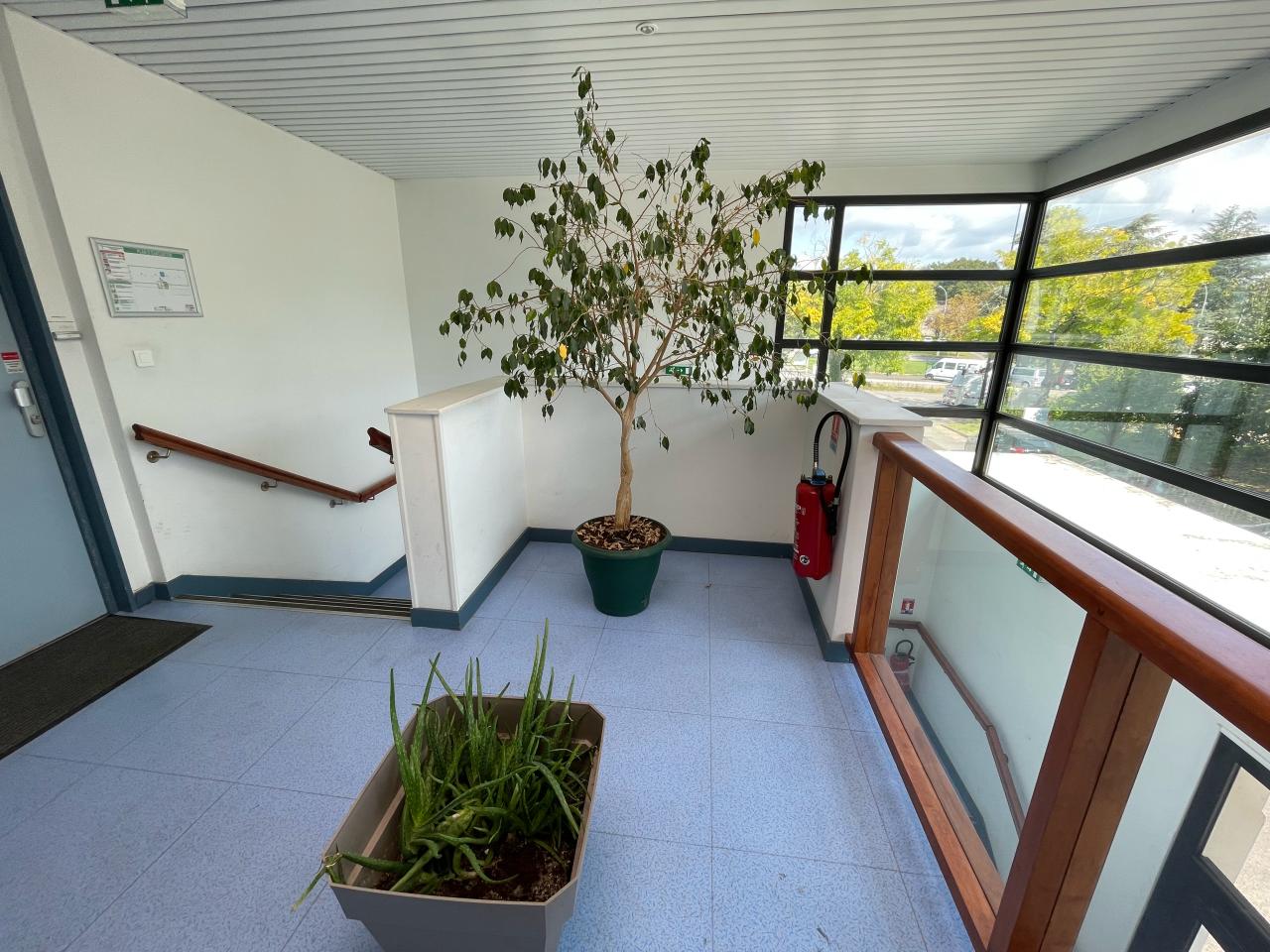Bureau Nantes 380m² Location bureau Nantes Loire-Atlantique OLBUR2424950 12